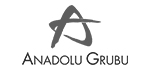 Anadolu Grubu